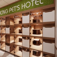 Thiết kế nội thất phòng lưu trú Kim Cương Pet’s Home cho thú cưng